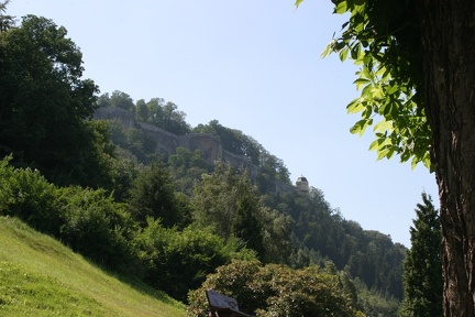 IMG 3964
