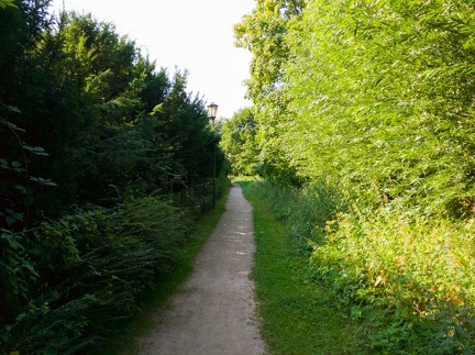 20200811-IMAG3630